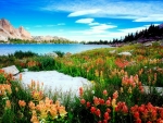 Flowers in the Lake