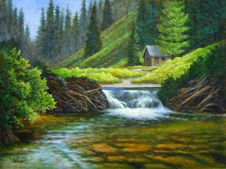 Summer Pond - attractions in dreams, trees, forests, draw and paint, summer, spring, cottages, nature, love four seasons, paintings