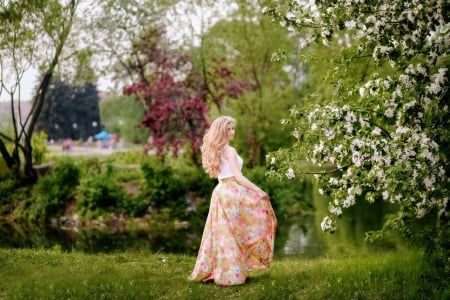 Springtime - trees, blossoms, girl, petals, blooming, leaves