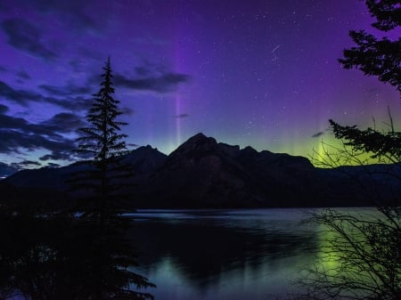 Banaff Aurora - lake, mountains, clouds, force of nature, trees, nature, stars