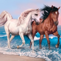 Two Stallion on the Beach