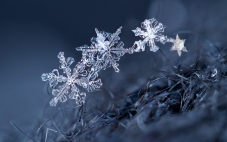 Snowflakes - white, winter, snowflakes, blue