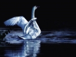 SWAN