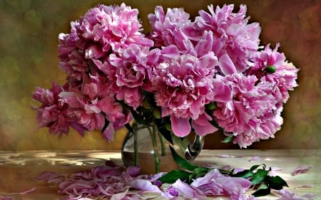 Peonies - peonies, petals, flowers, spring, vase, leaves, still life