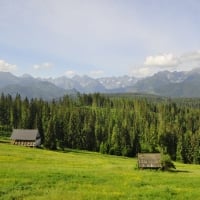 Swiss Landscape