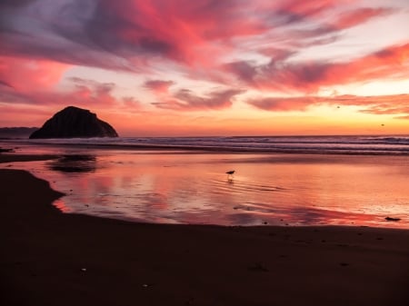 Twilight at a Beach - sunset, nature, scenery, beach, evening, sea, dusk, orange