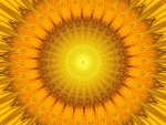 Abstract sunflower