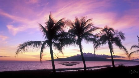 Waiting for You by MaDonna - sky, restful, palm trees, beach, hammock, sunset, vacation, romantic, tranquil, firefox persona theme