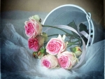 Pink roses