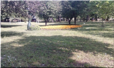 park 1 - nature, trees, leaf tree, green, flowers, grasses