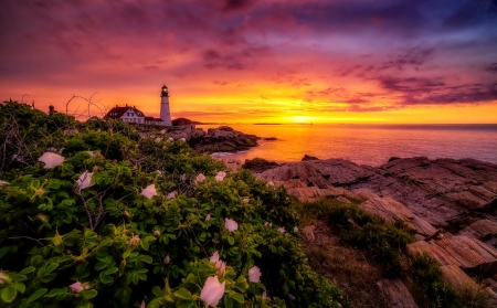 Lighthouse at sunset - sky, lighthouse, beach, colorful, shore, amazing, beautiful, sea, wildflowers