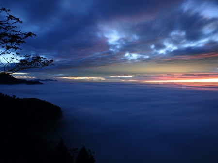 Haze Sunset - clouds, trees, branch, haze, fog, evening, landscape, sunset, nature, sky