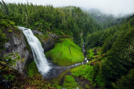 Forest Falls - stream, serene, forest, waterfall, trees, nature, jungle