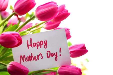 Happy mother's day! - day, goft, tulips, mother, bouquet, pretty, pink, beautiful, holiday, flowers, happy