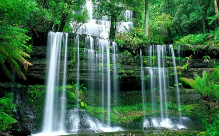 Forest waterfall - fall, trees, cascades, forest, beautiful, greenery, waterfall, rocks