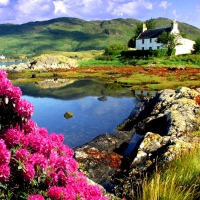 House by the Pond