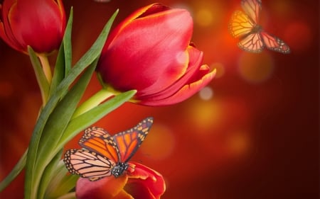 Butterflies and Red Tulips