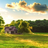 Old House in the Meadow