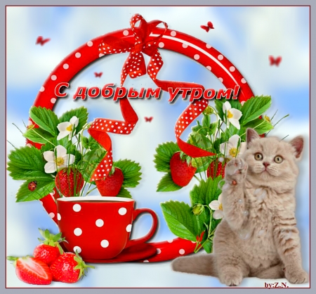 Good mornig with cat - morning, drings, cat, coffee