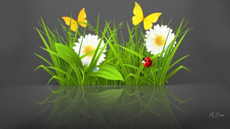 Spring Summer Reflected - ladybug, reflection, summer, flowers, daisies, chamomiles, spring, butterflies