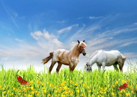 Springtime Meadow - flowers, clouds, horses, Spring, butterflies, meadow, sky