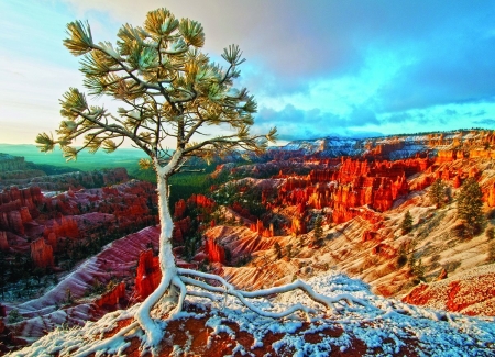 Winter Sunset - clouds, canyons, landscape, snow, tree, sky