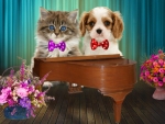 Cute pianists