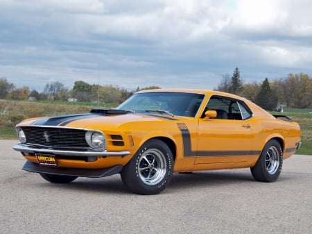 1970 Ford Mustang Boss 302 - Ford, car, Boss, 302, vintage, 1970, Mustang