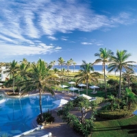 Palm Trees In An Amazing Resort