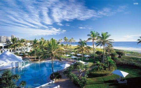 Palm Trees In An Amazing Resort