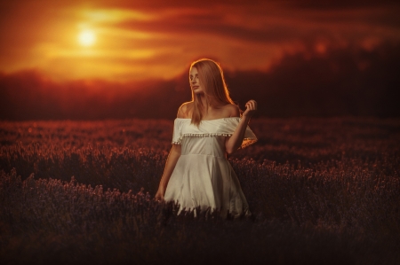 Beauty and Sunset - field, sunset, woman, model