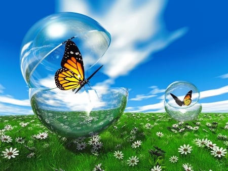 Butterfly in a bubble in the meadow