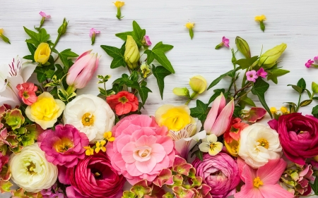 Floral background - freshness, roses, tulips, lovely, spring, pretty, floral, wall, beautiful, flowers, flower