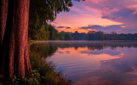 Sunset Reflections - sky, lake, trees, colors