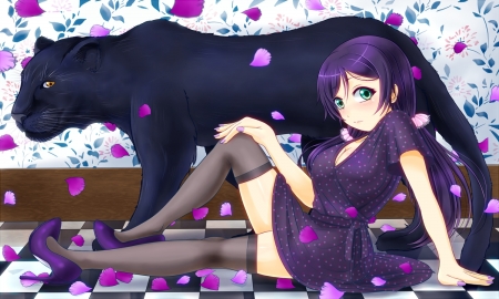 Toujou Nozomi - anime, girl, petals, pink, hiro9779, stilettos, black, manga, love live school project, toujou nozomi, white, purple, panther