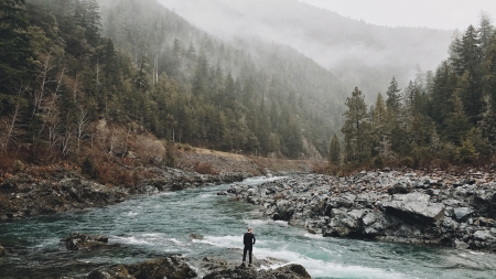 River - nature, landscape, trees, mountain range, river, fog, water