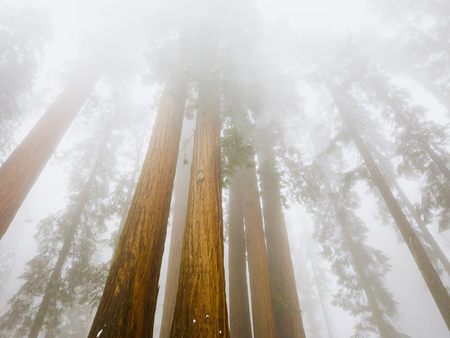 National park - forest, landscape