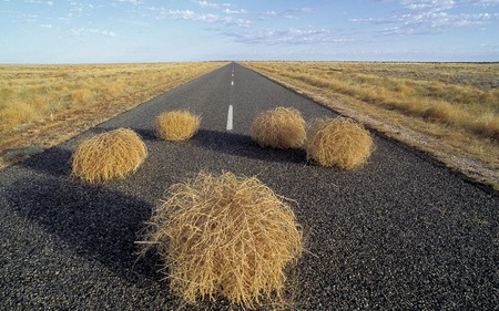 nature - road, landscape