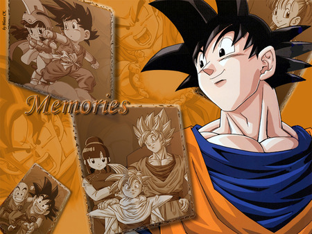 Goku's memories - memories, goku, dbz