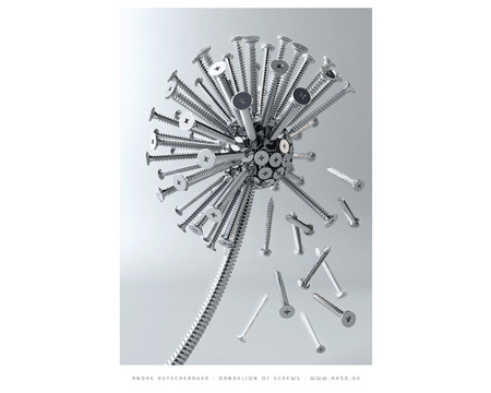 Modeling-humor - dandelion, nice, metal