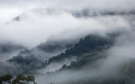 Cloudscape  - sky, nature, clouds