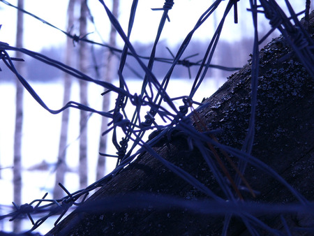 Barbed Wire - abstract, 3d, blue, photography