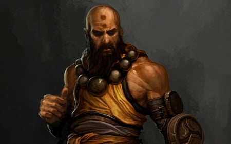 Monk - fighter, diablo 3