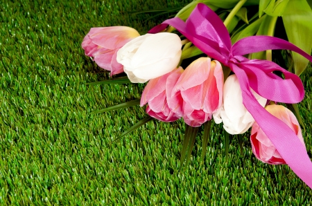 Bouquet of tulips - summer, spring, grass, freshness, bouquet, flowers, colorful, tulips, ribbon