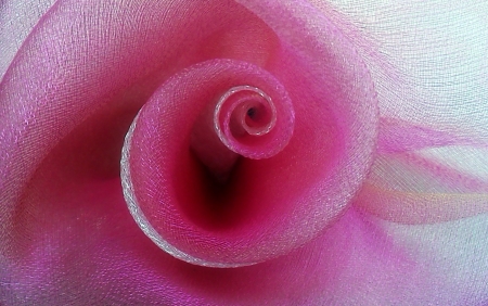 Silky swirls - silk, cloth, twist, rose, color, swirl, flower, pink