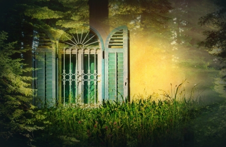 Window - shutters, window, mystery, grass, dark