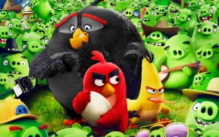 Angry birds - pretty, kids, birds, cartoon, toys, film, colorful, angry, funny, movie