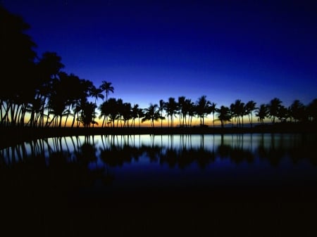 Blue Sky - Palm trees, Nature, Sumset, Sky