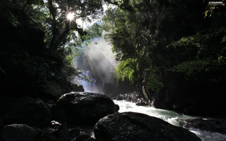 Forest Falls - river, trees, nature, waterfall, forest, stones, sun