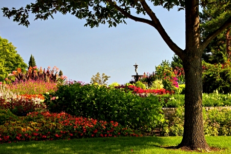 Garden Flowers - Garden, Tree, Nature, Flowers